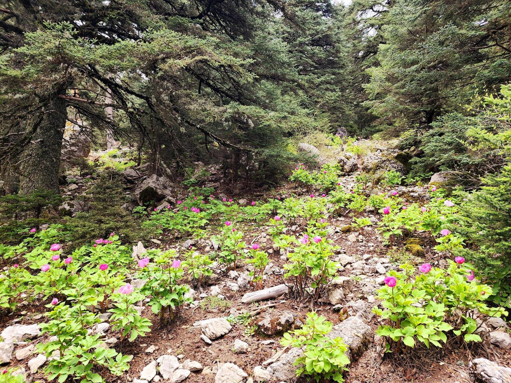 Gite De Montagne Azilane Chefchaouen Buitenkant foto